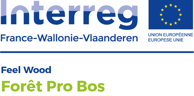 LogoProjets Feel Wood FORET PRO BOS